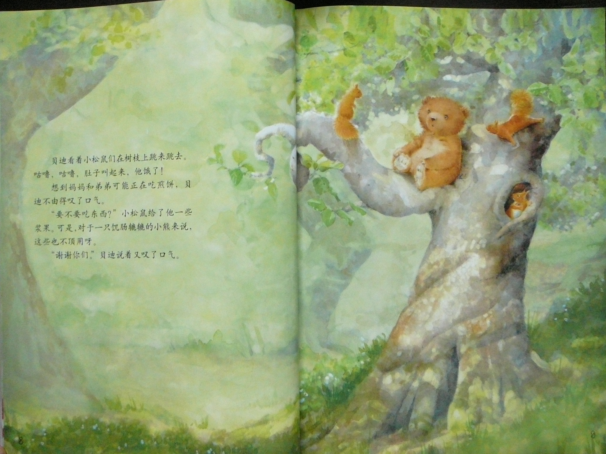 愿望树 (08),绘本,绘本故事,绘本阅读,故事书,童书,图画书,课外阅读
